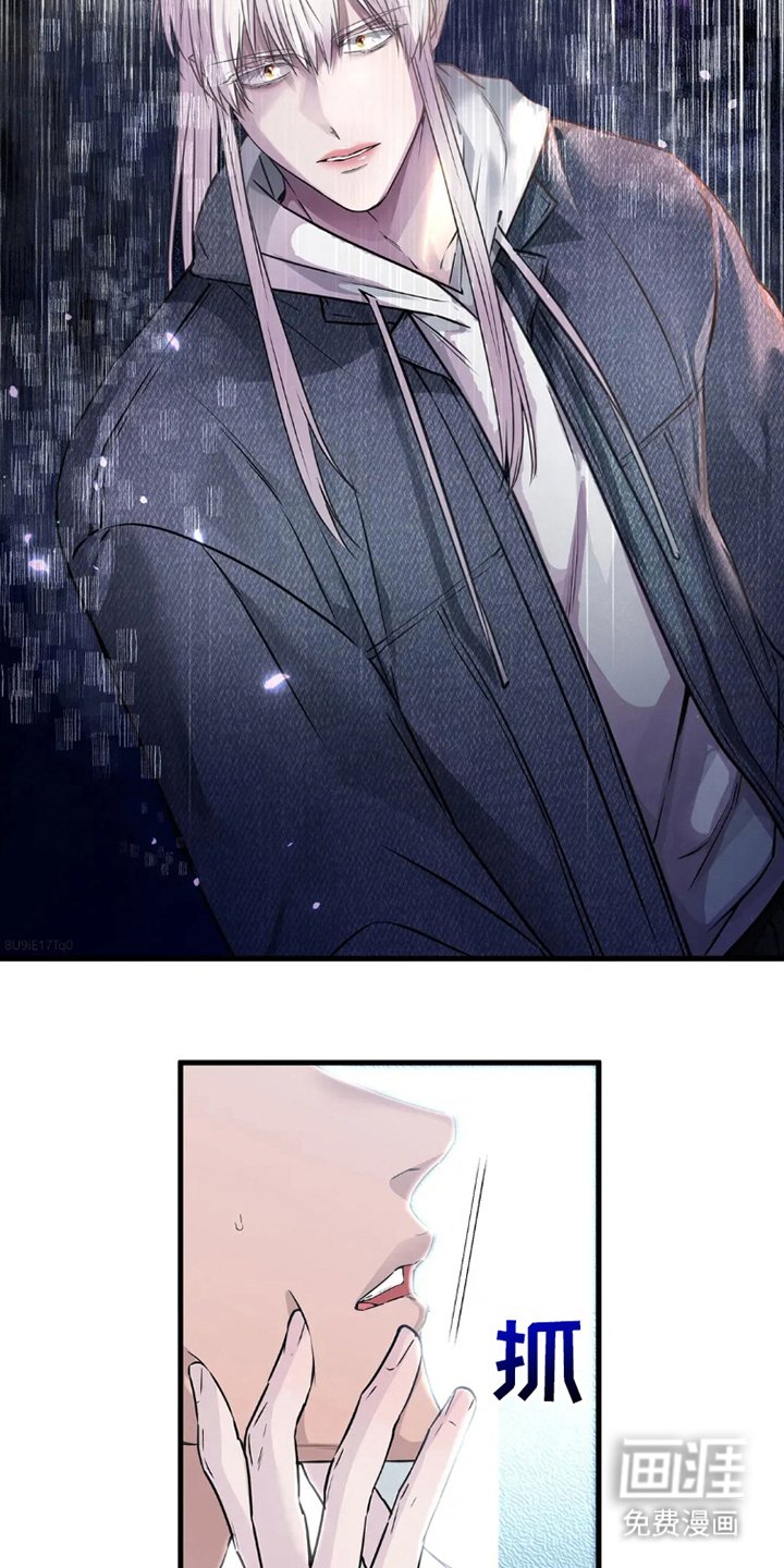 第3章：胡思乱想