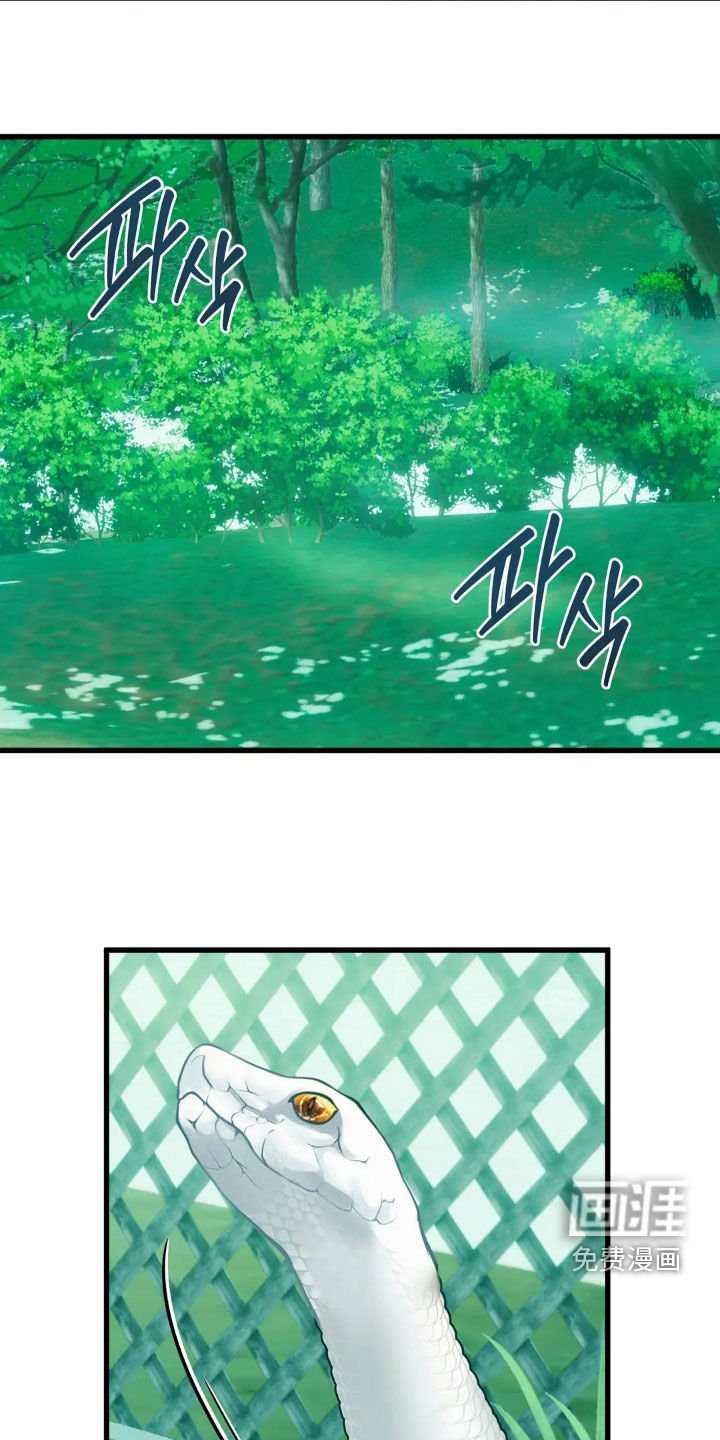 第34章：15年前