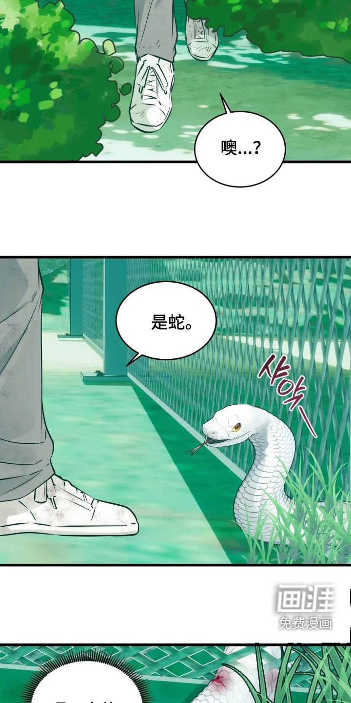 第34章：15年前