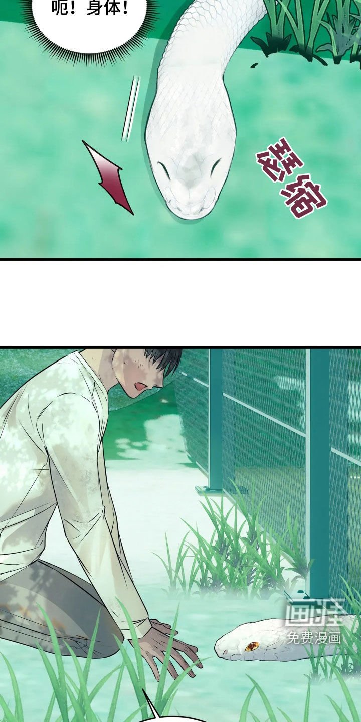 第34章：15年前