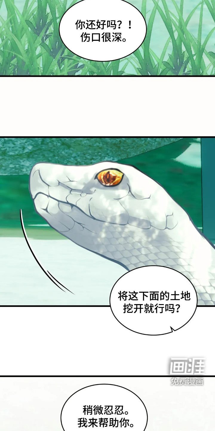 第34章：15年前