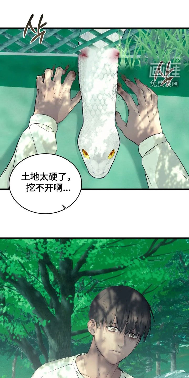 第34章：15年前