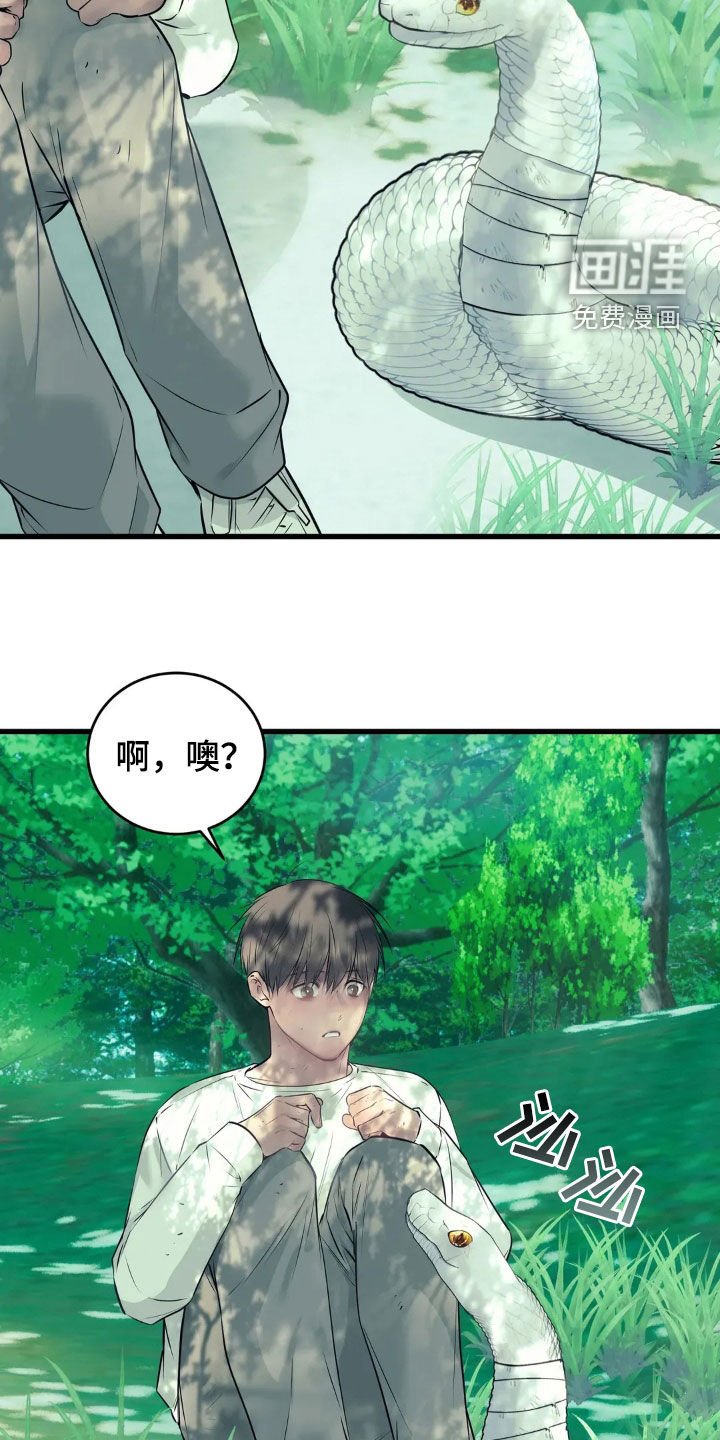 第34章：15年前