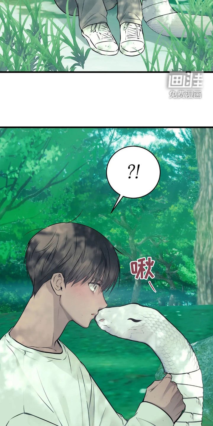 第34章：15年前