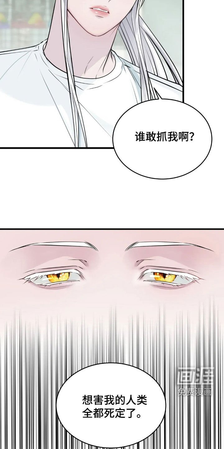 第37章：一样的心意