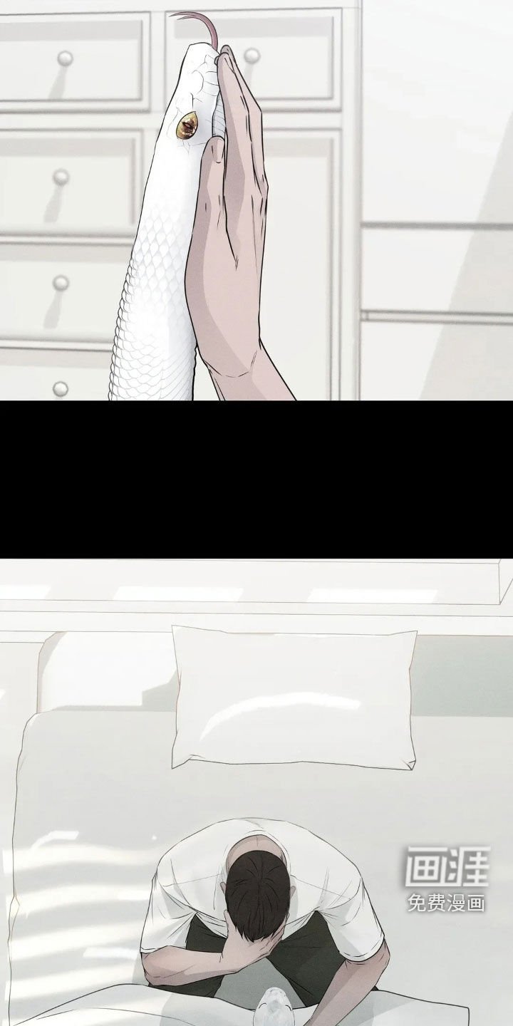 第42章：故乡