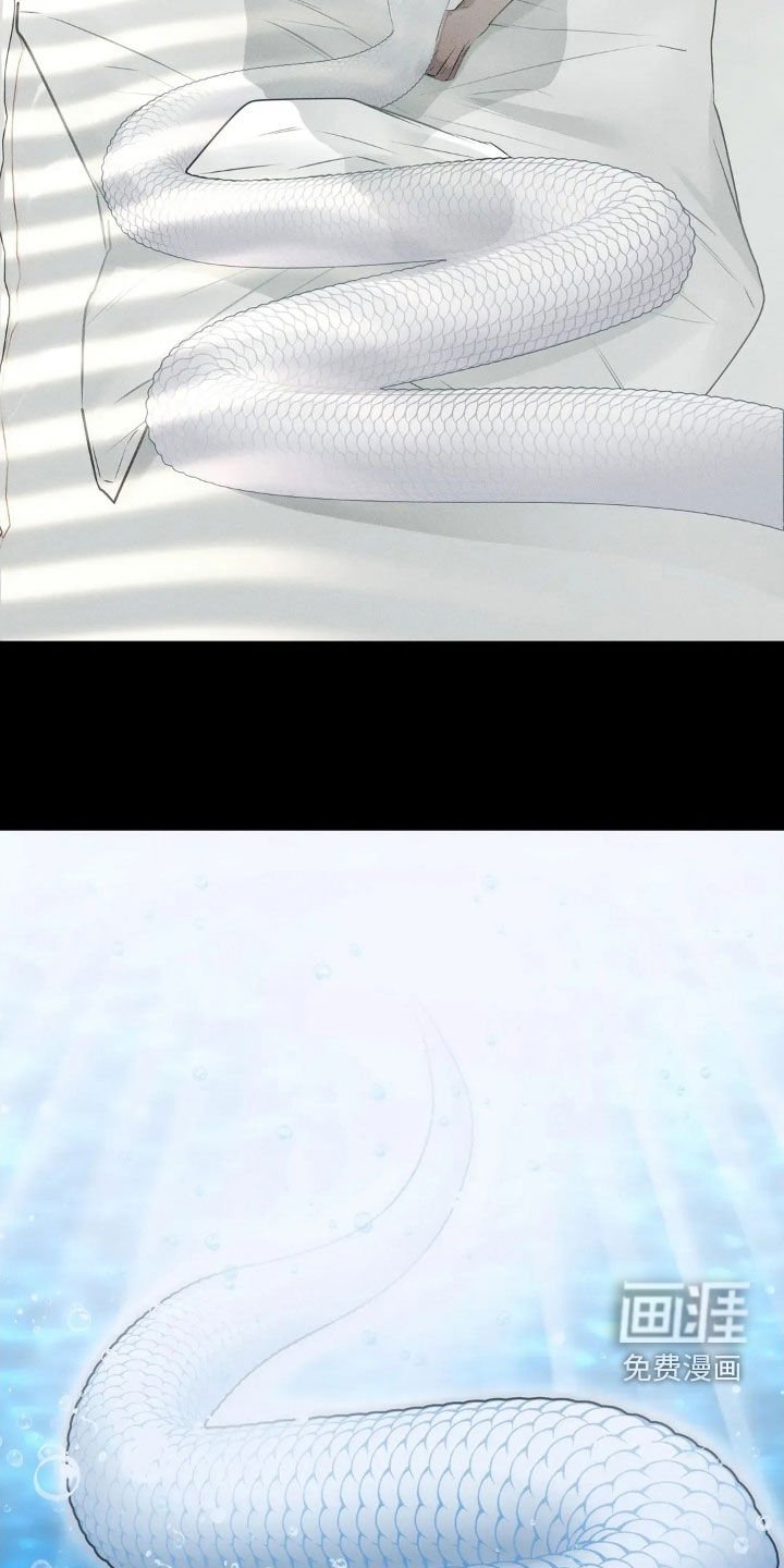 第42章：故乡