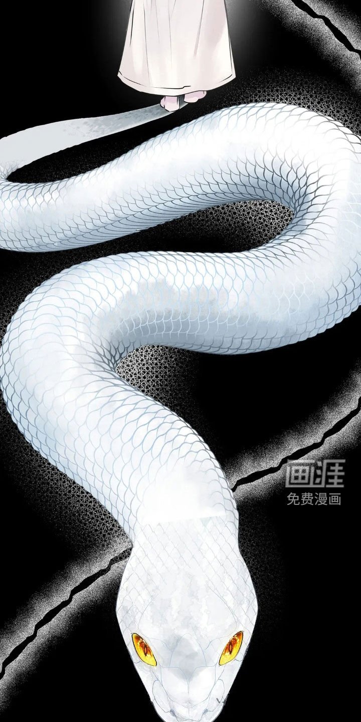 第47章：最后一次机会