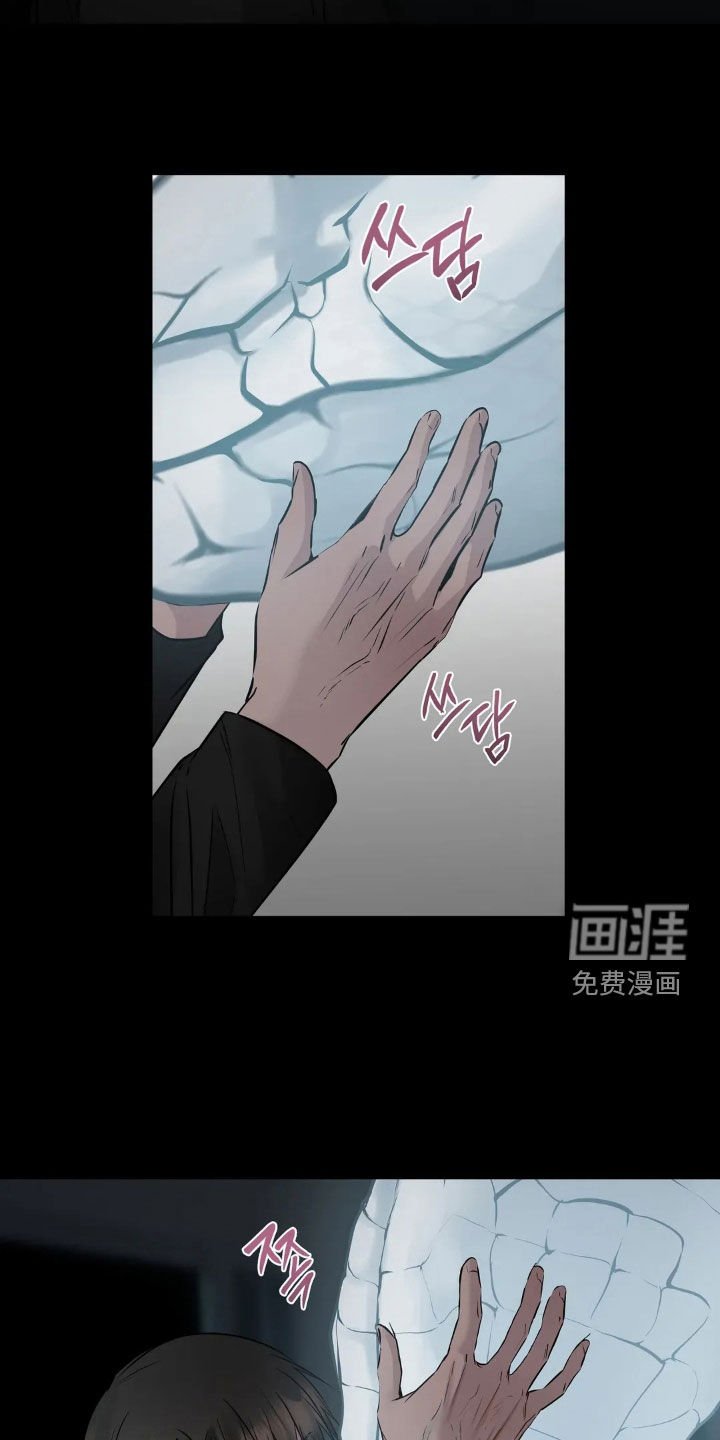 第47章：最后一次机会