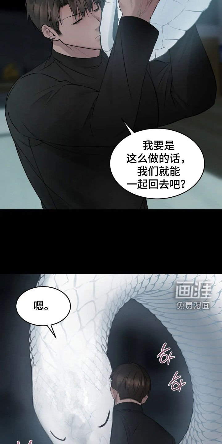 第47章：最后一次机会