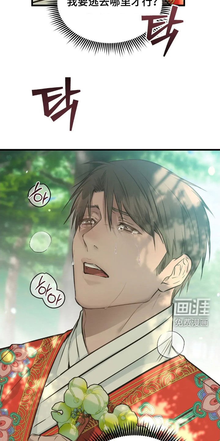 第49章：跳崖
