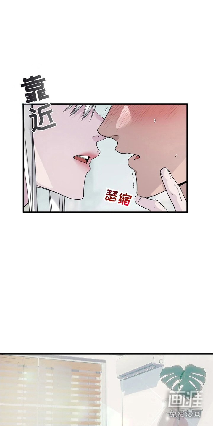 第5章：怎么做