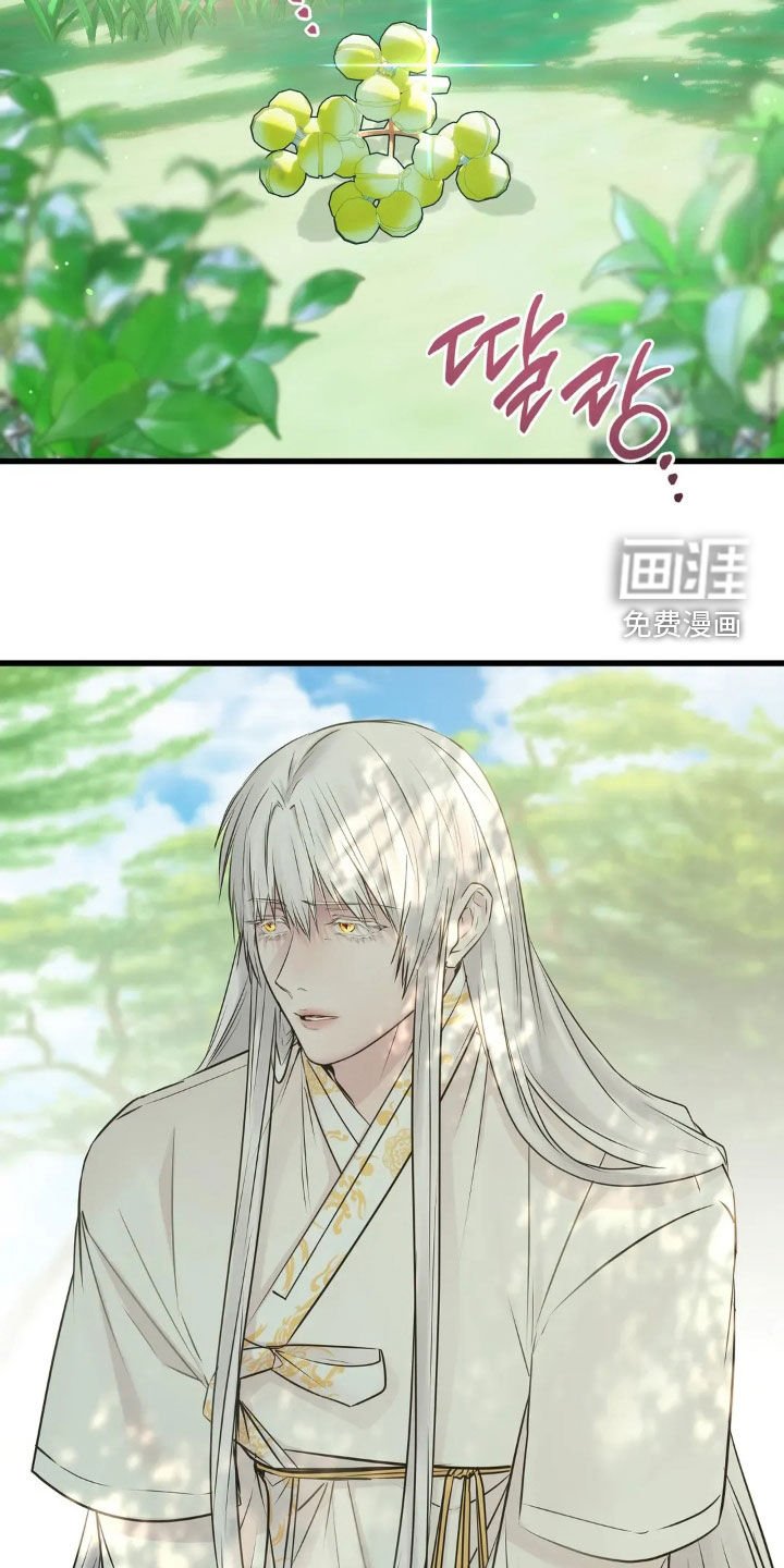 第50章：蛇群