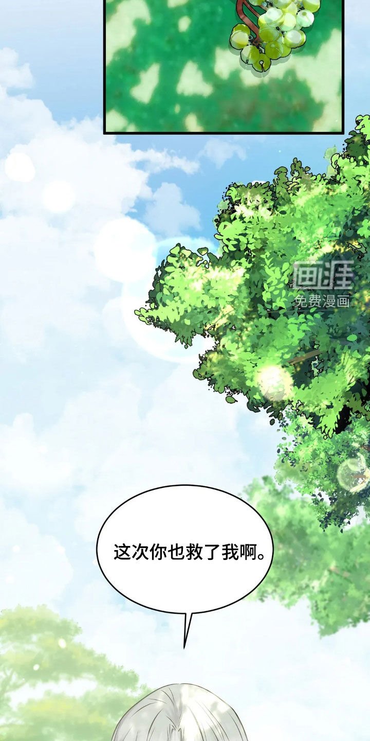 第50章：蛇群