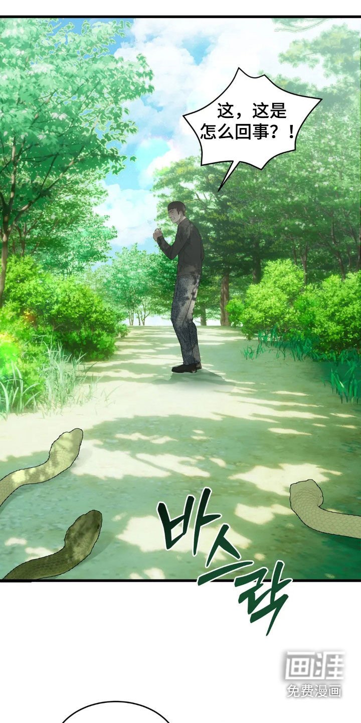 第50章：蛇群