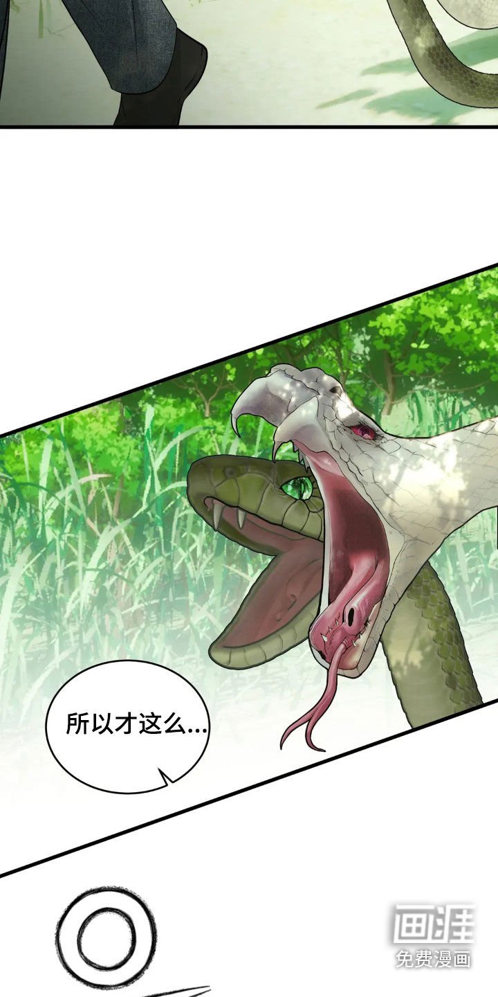 第50章：蛇群