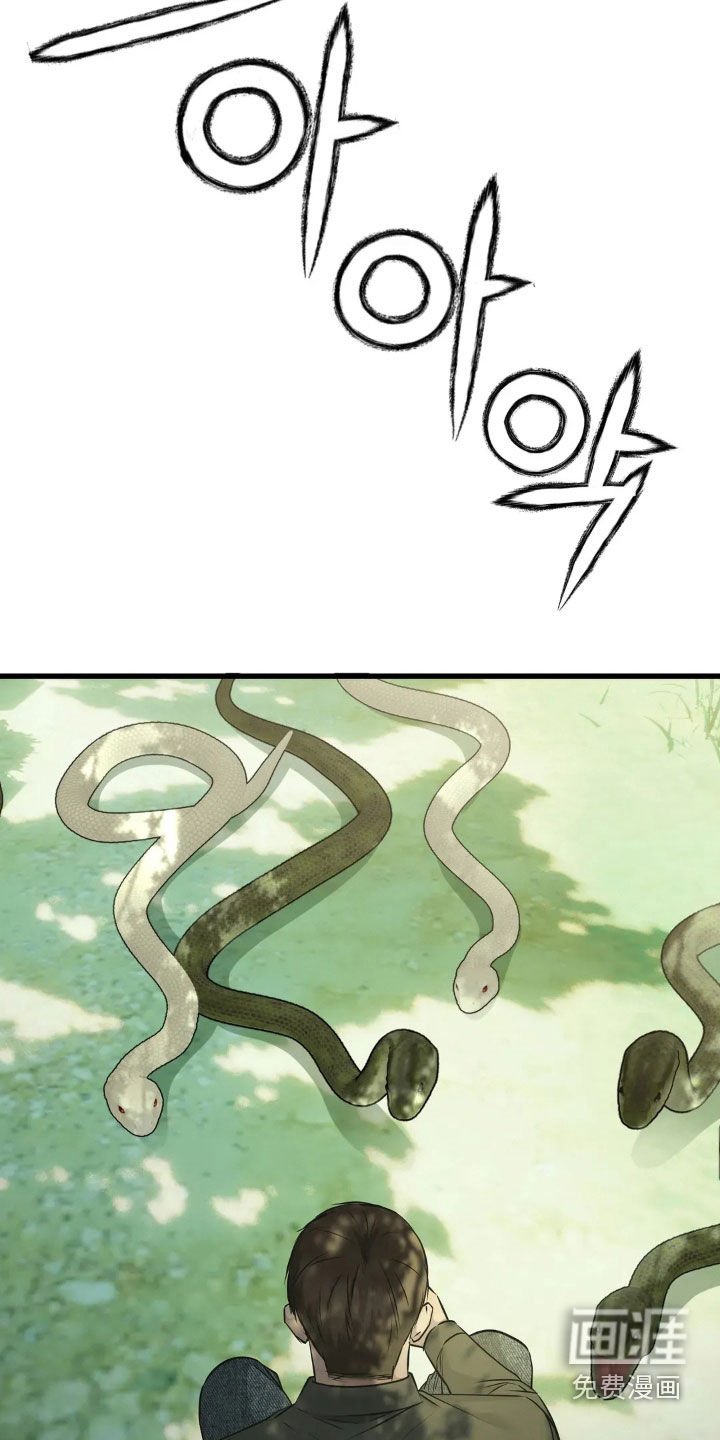第50章：蛇群
