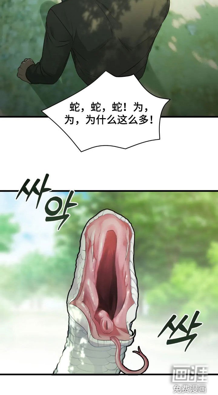 第50章：蛇群