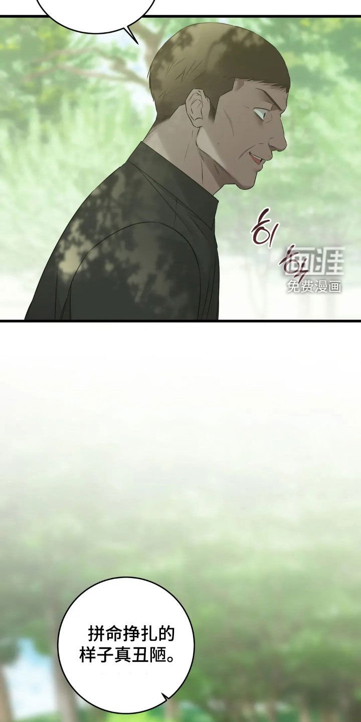 第51章：业报