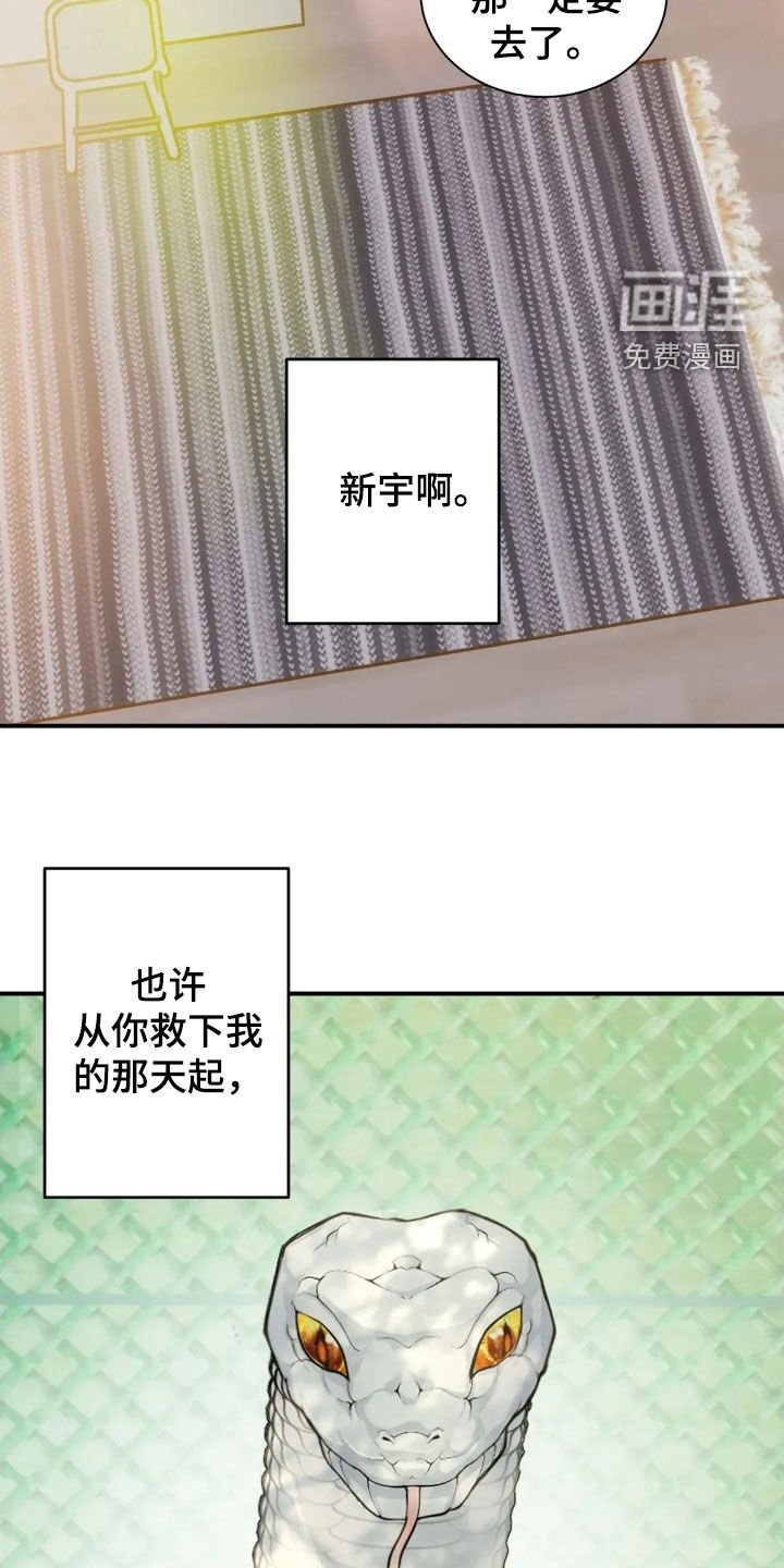 第55章：永远相爱
