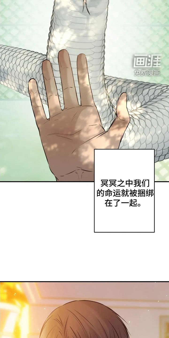 第55章：永远相爱