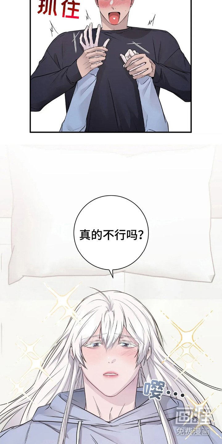 第8章：粘着