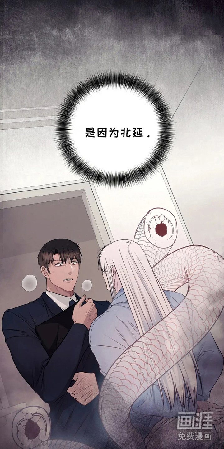 第9章：又能看见