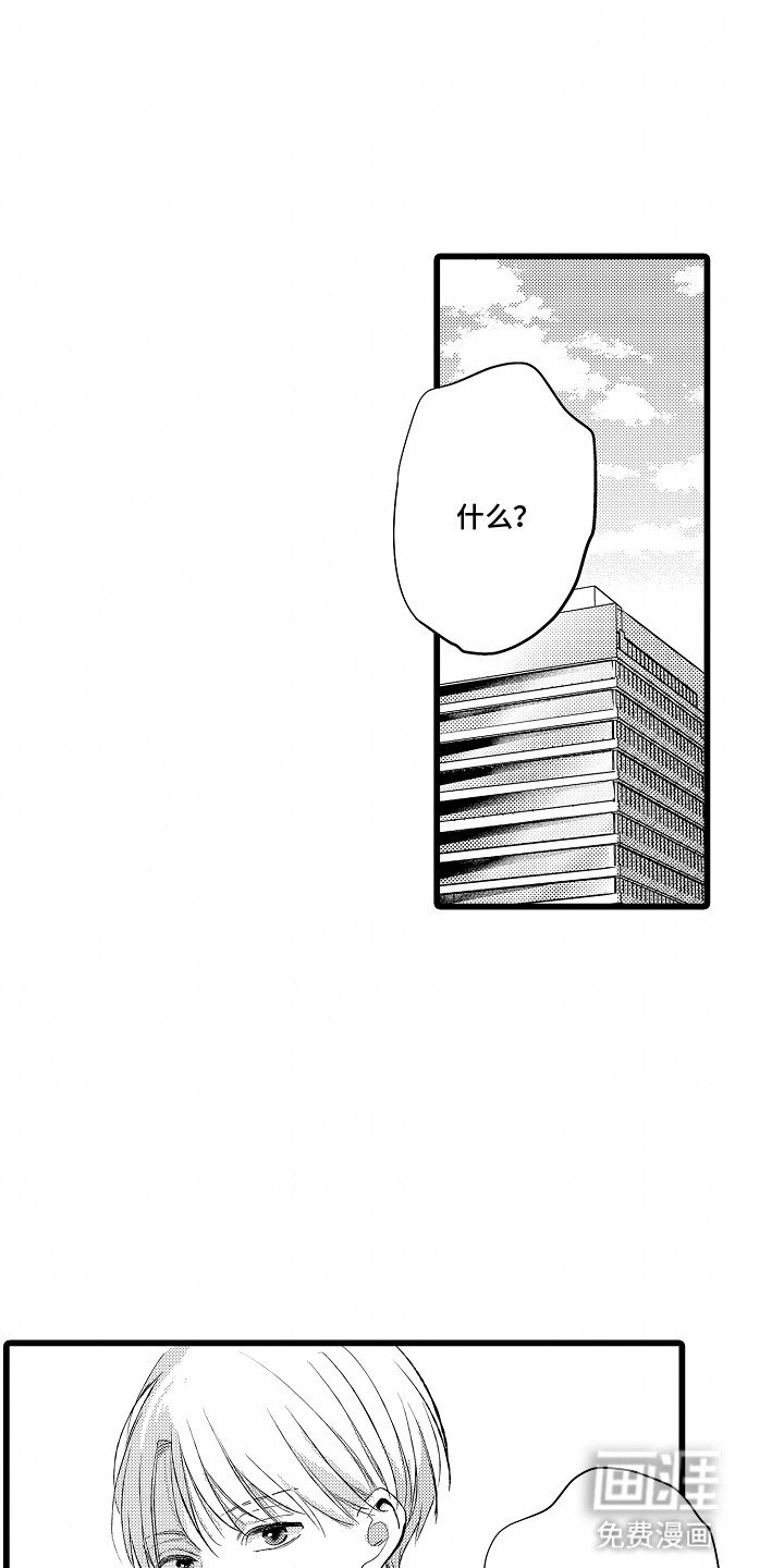 第14章：他们的关系