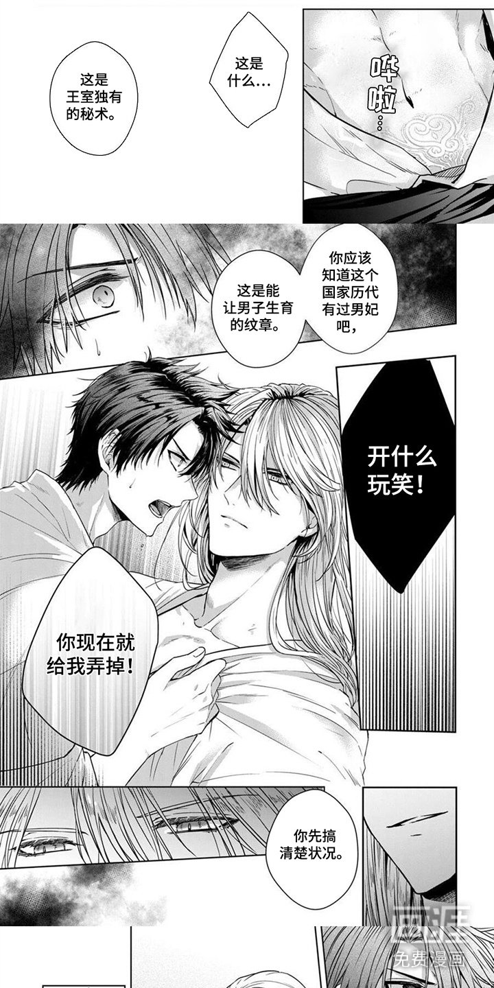 第2章：纹章