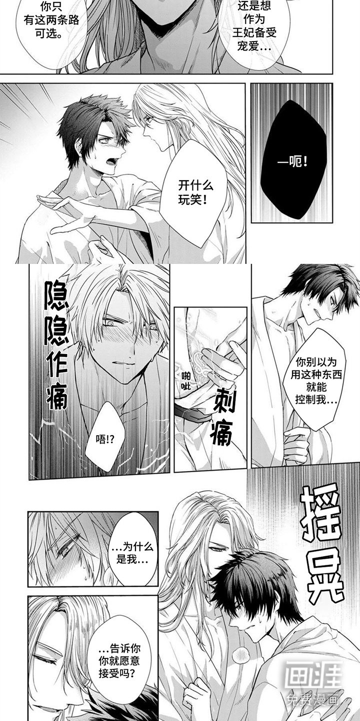 第2章：纹章