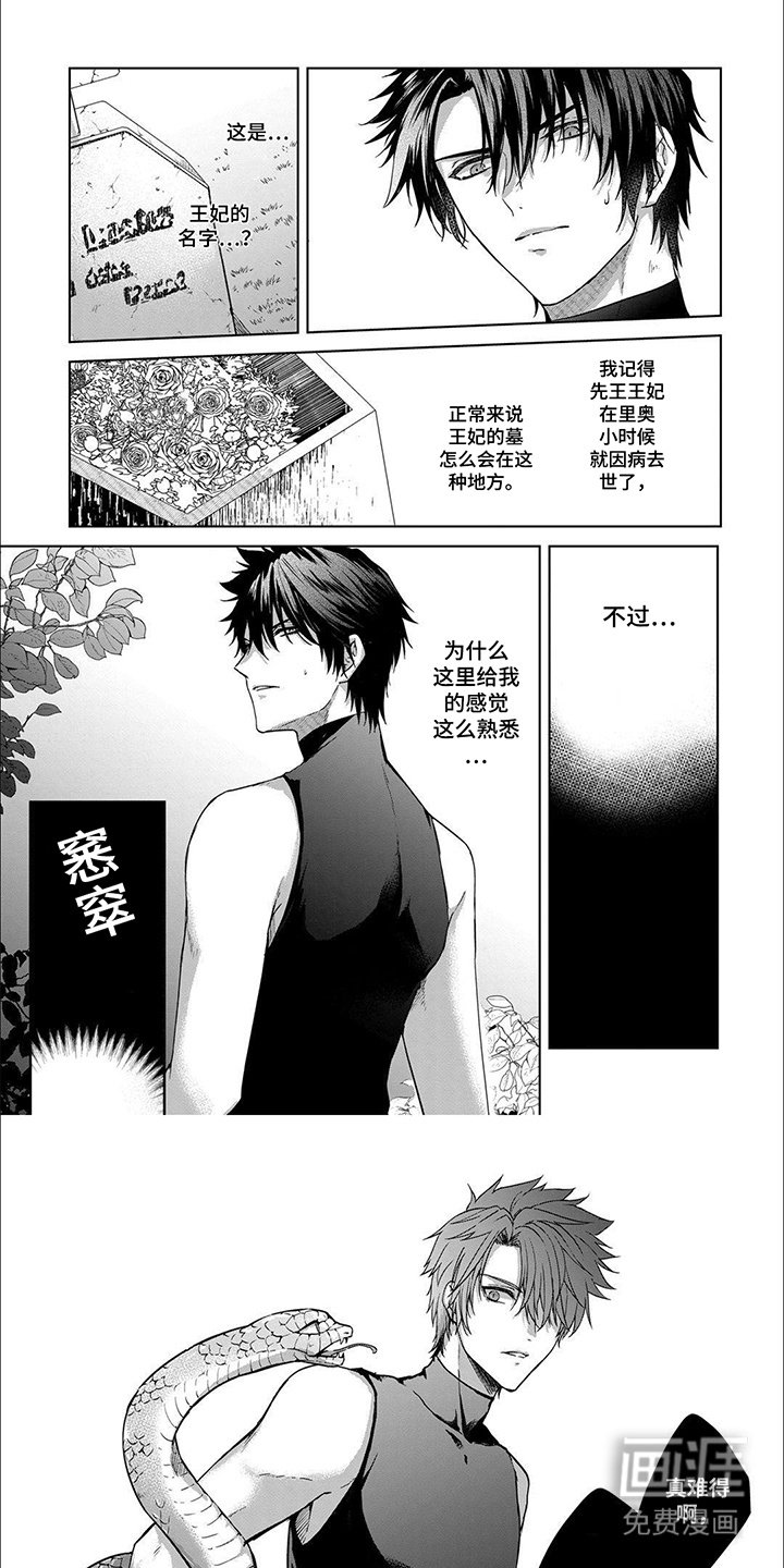第6章：神兽