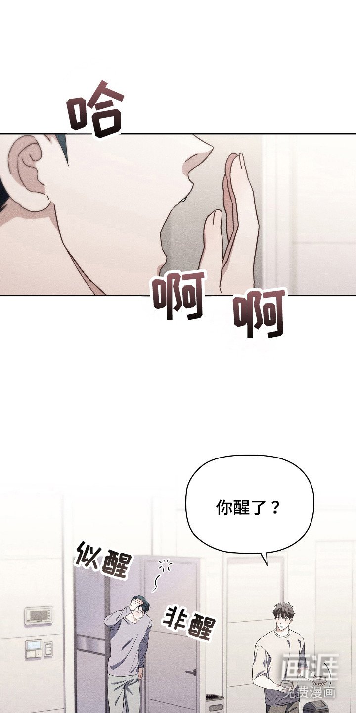 第17章：看电影
