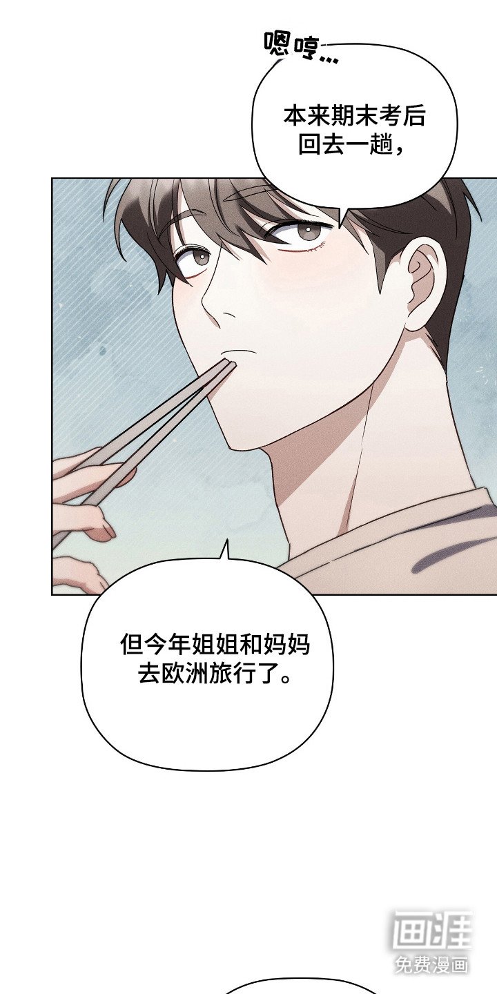 第17章：看电影