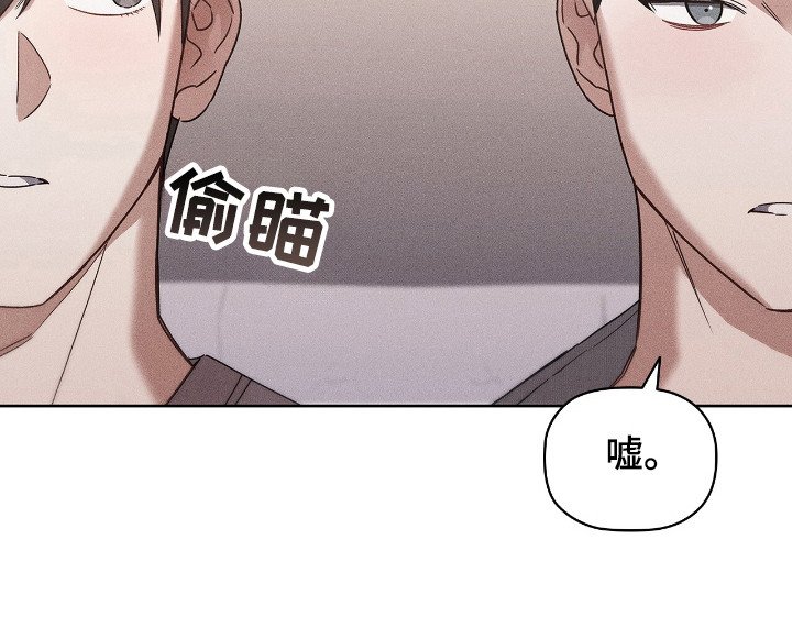 第17章：看电影