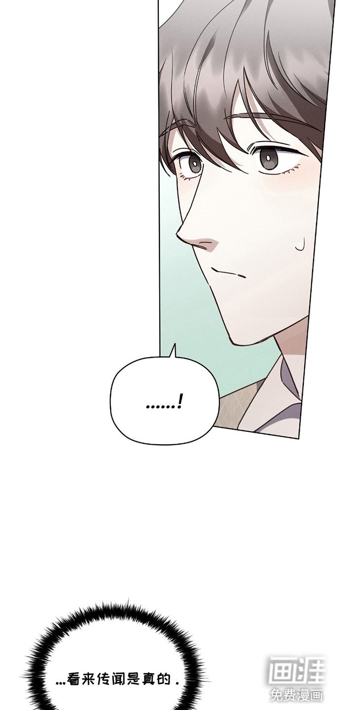 第2章：收留