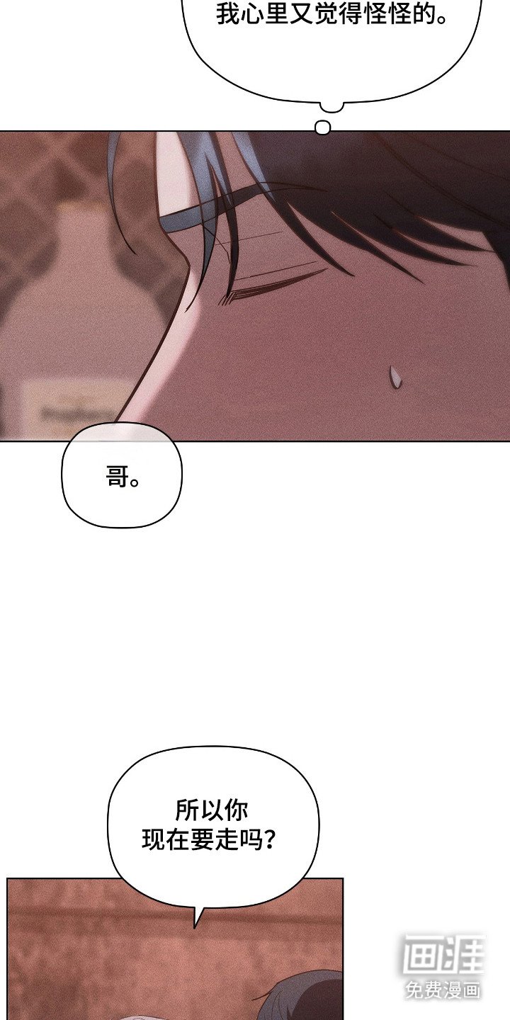 第37章：不仅喜欢