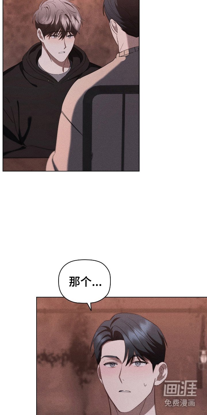 第37章：不仅喜欢