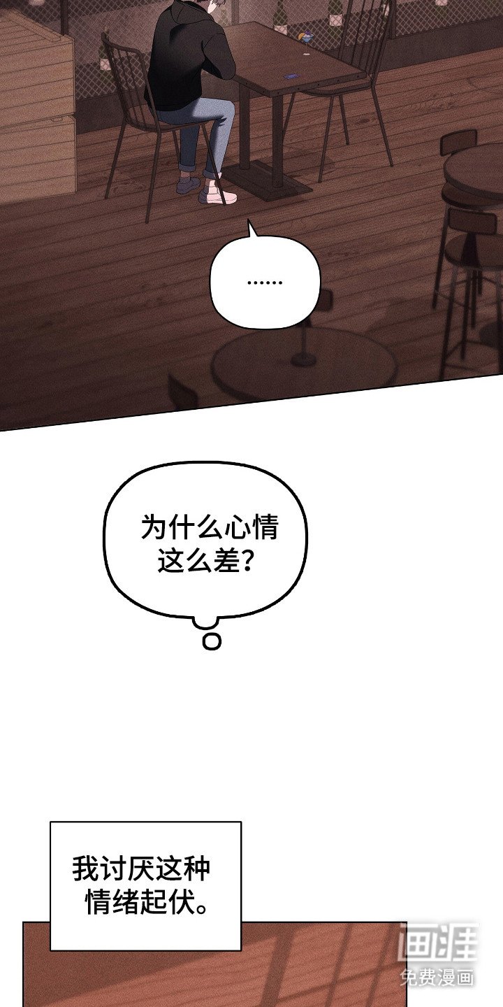 第37章：不仅喜欢