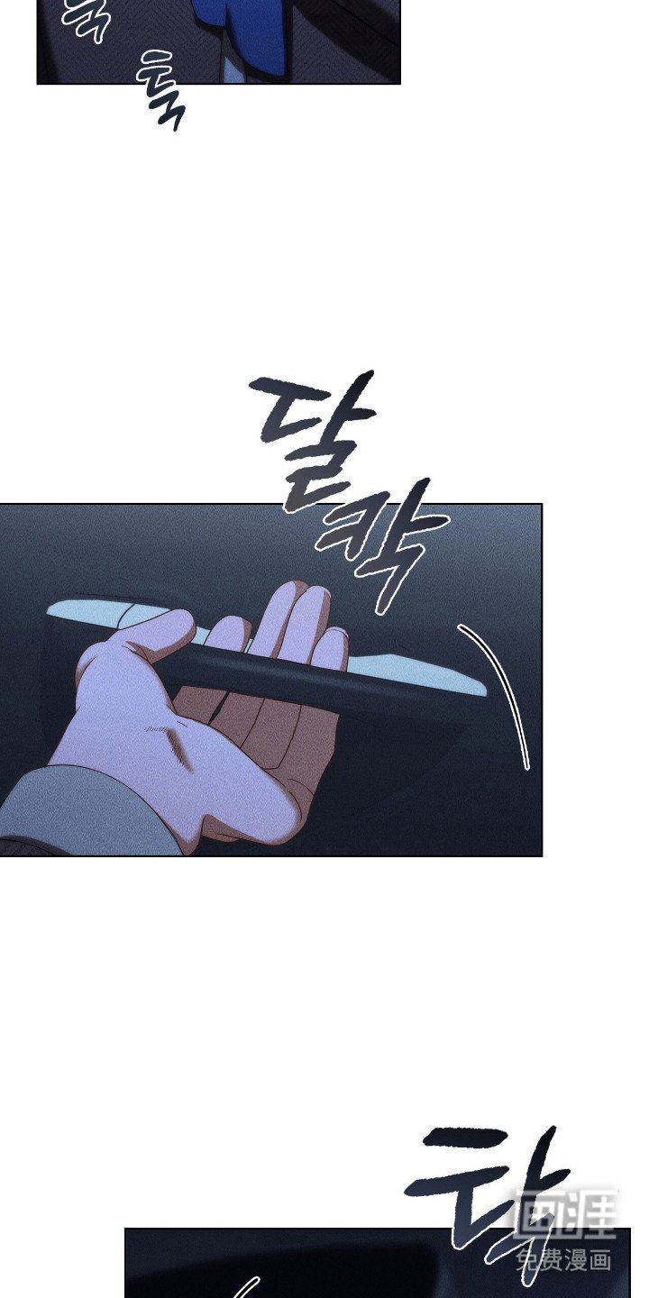 第37章：不仅喜欢