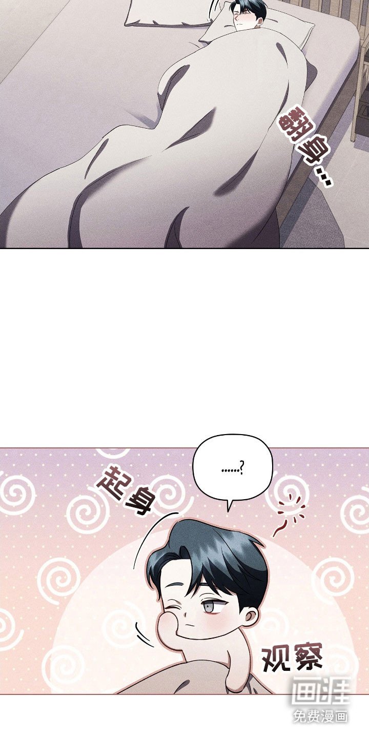 第41章：就是喜欢