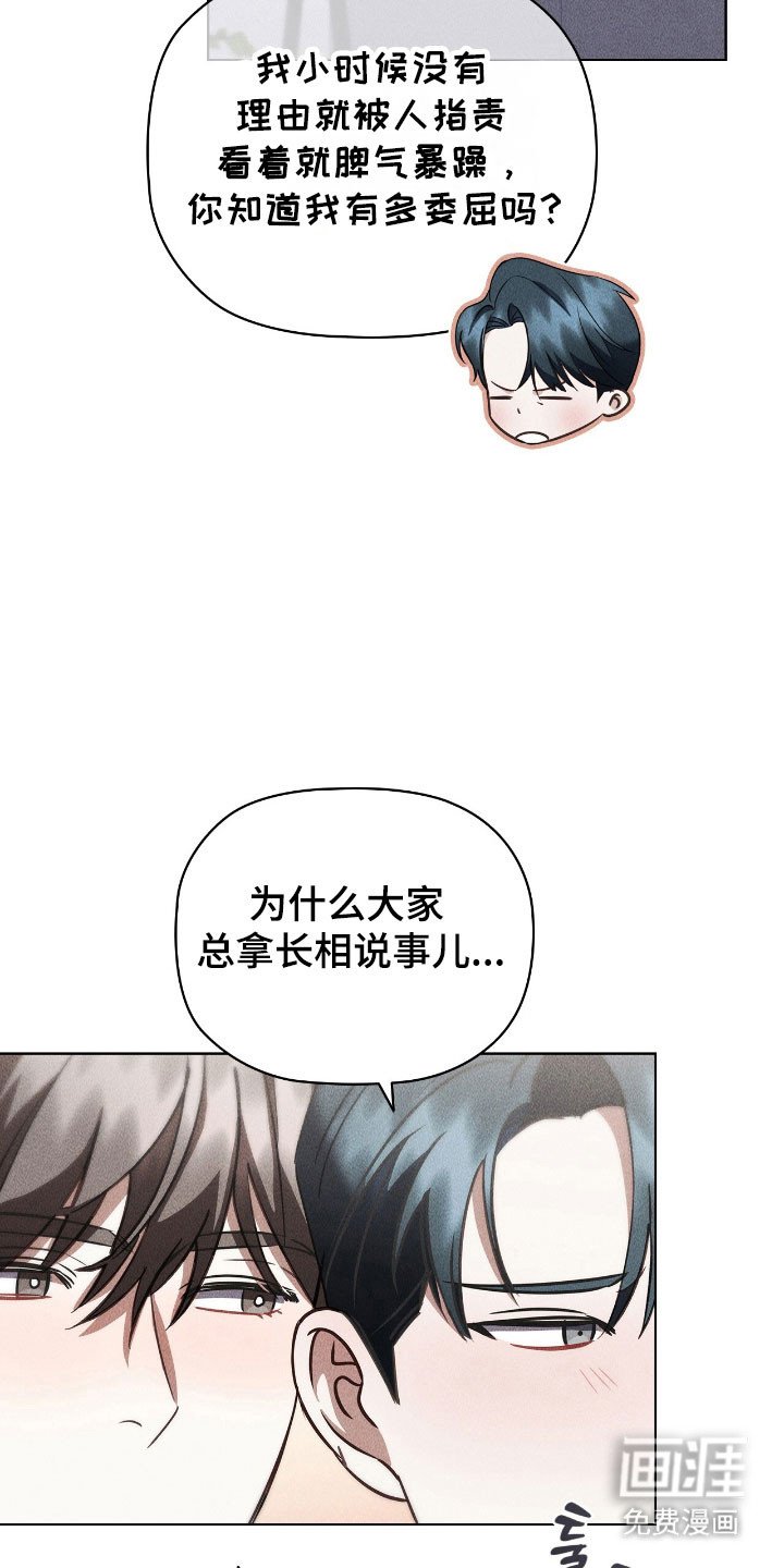 第53章：主观印象