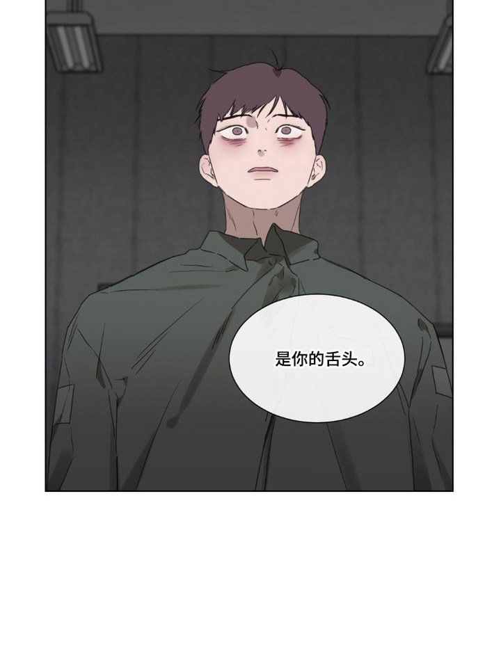 第7章：命令