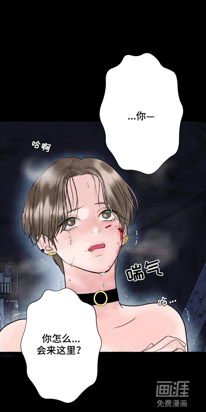 第10章：带他回家（完结）