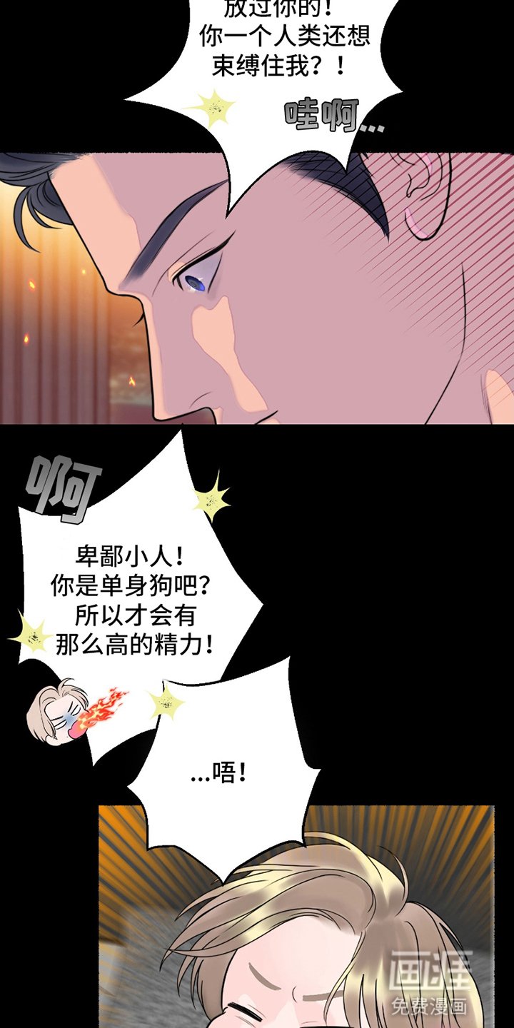 第3章：挑衅