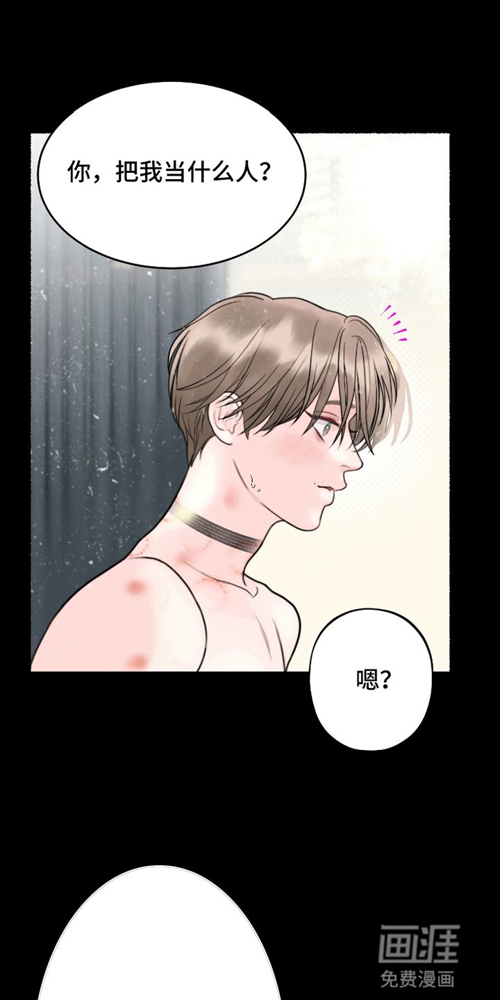 第5章：结为伴侣