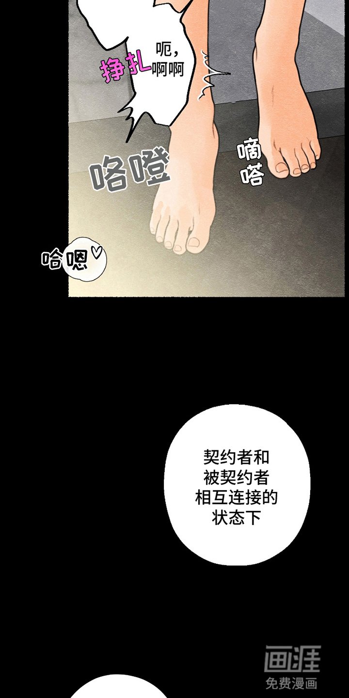 第5章：结为伴侣
