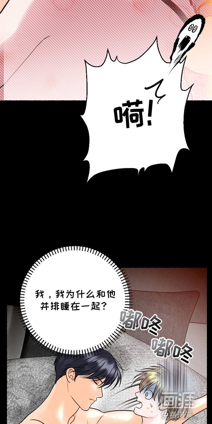 第5章：结为伴侣