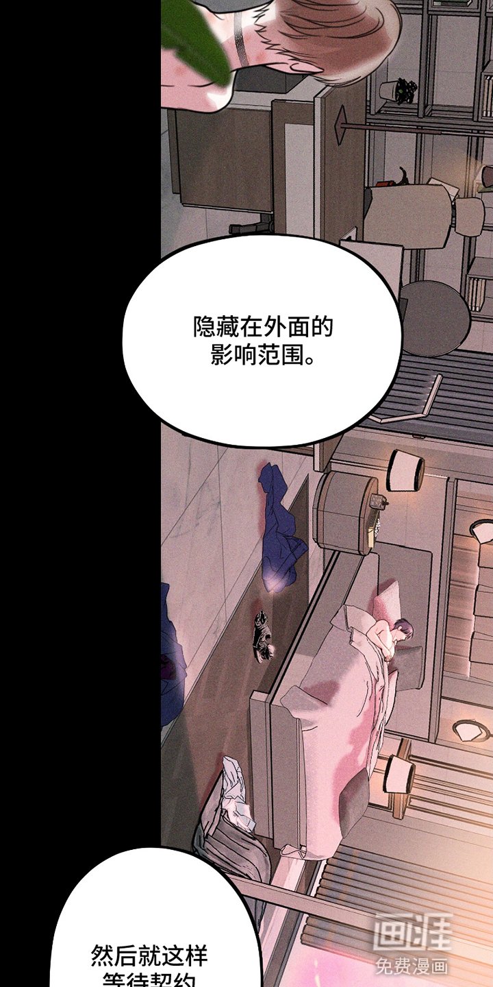 第5章：结为伴侣