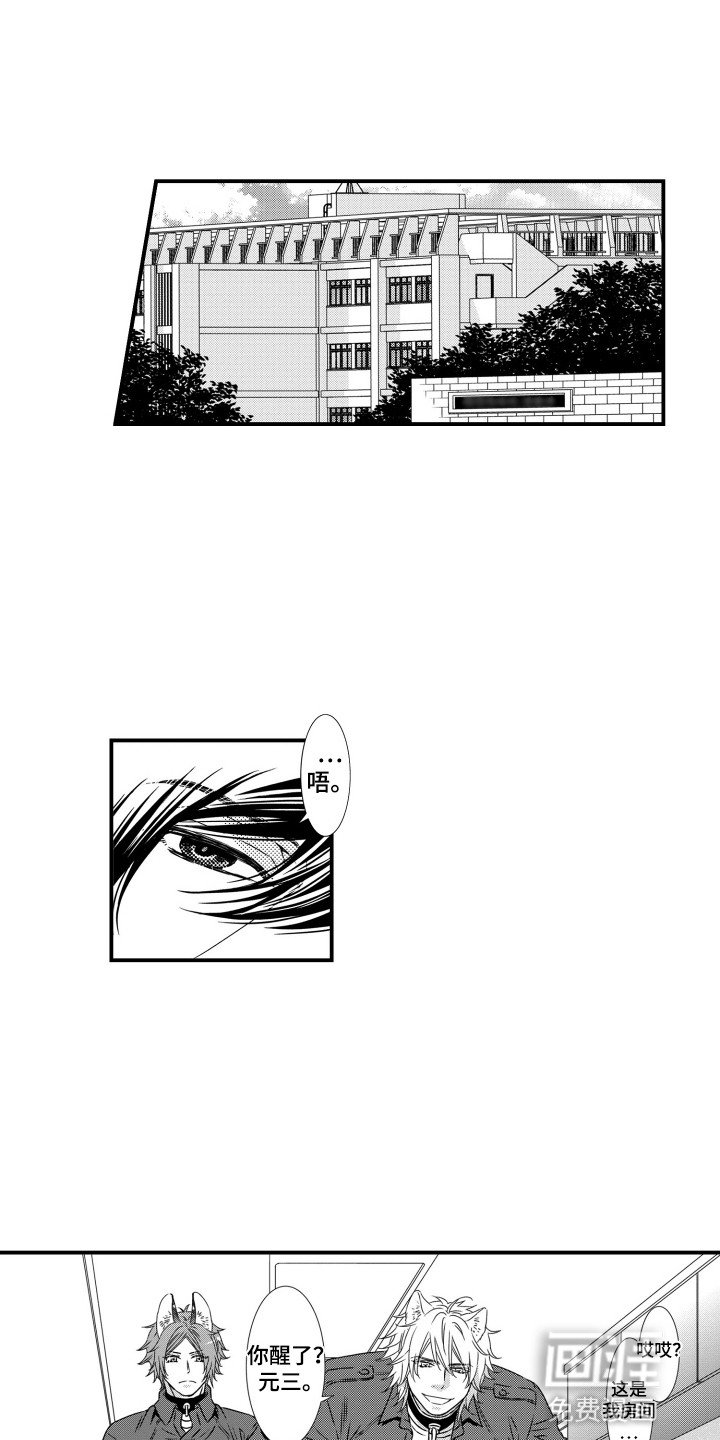 第11章：应该怎么办