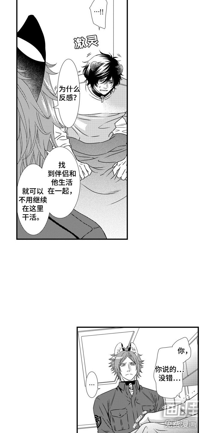 第11章：应该怎么办